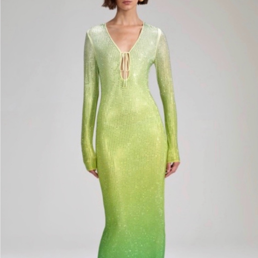 Nwt Self-Portrait Green Mesh Maxi Dress